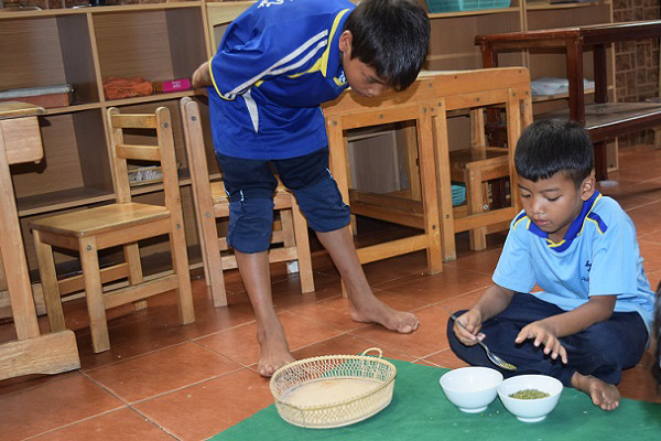 楽しく学ぶセンソリーインテグレーション