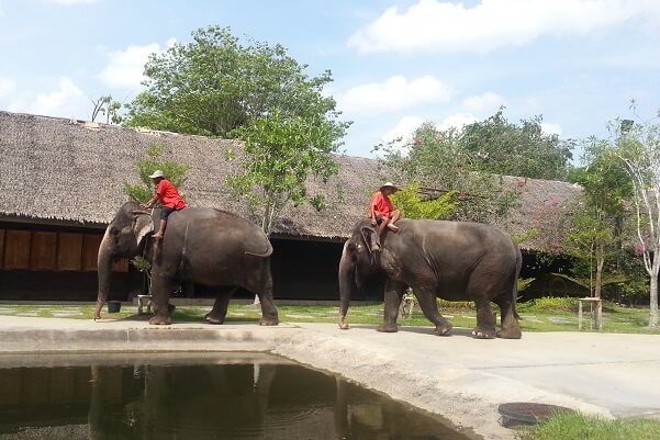 タイで像に乗る